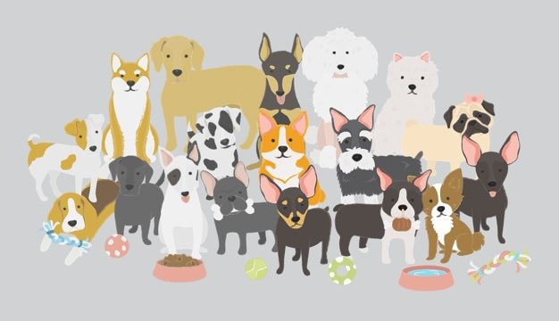 illustration-dogs-collection
