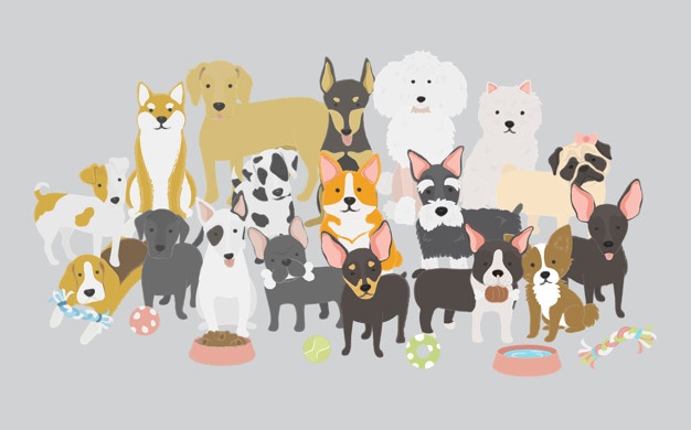 illustration-dogs-collection